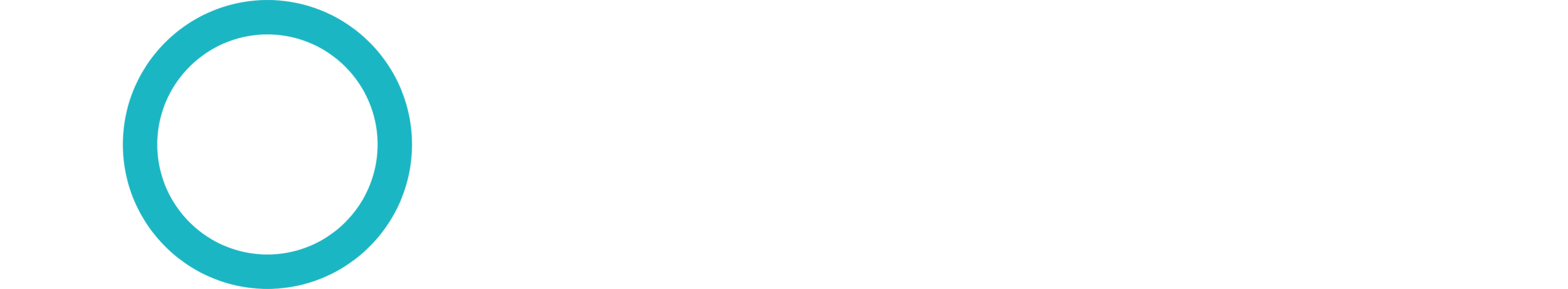 finnect Logo weiß